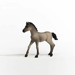 Budget π Schleich Horse Club Horses 2022, Realistic Horse Toys For π§ Girls And Boys, Criollo Definitivo Foal Baby Horse Figurine, Ages 5+ 𧨠7 Budget π Schleich Horse Club Horses 2022, Realistic Horse Toys For π§ Girls And Boys, Criollo Definitivo Foal Baby Horse Figurine, Ages 5+ 𧨠-Stuffed Animals & Plush Toys Sales Store 21uaO77FP7L