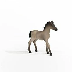 Budget ๐ Schleich Horse Club Horses 2022, Realistic Horse Toys For ๐ง Girls And Boys, Criollo Definitivo Foal Baby Horse Figurine, Ages 5+ ๐งจ