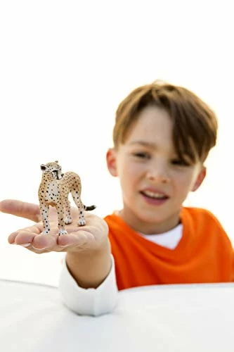 Best reviews of π Schleich Wild Life, Animal Figurine, Animal Toys For Boys And π§ Girls 3-8 Years Old, Female Cheeta βοΈ 2 Best reviews of π Schleich Wild Life, Animal Figurine, Animal Toys For Boys And π§ Girls 3-8 Years Old, Female Cheeta βοΈ - Image 2