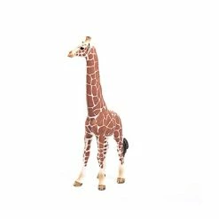 Best Pirce 😉 Wild Life, Animal Figurine, Animal Toys For Boys And 👧 Girls 3-8 Years Old, Female Giraffe, Ages 3+ 👍 7 Best Pirce 😉 Wild Life, Animal Figurine, Animal Toys For Boys And 👧 Girls 3-8 Years Old, Female Giraffe, Ages 3+ 👍 -Stuffed Animals & Plush Toys Sales Store 318CFhCG63L