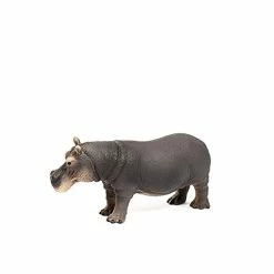 Best Pirce ๐ฏ Wild Life, Animal Figurine, Animal Toys For Boys And ๐ง Girls 3-8 Years Old, Hippopotamus, Ages 3+ ๐งจ 7 Best Pirce ๐ฏ Wild Life, Animal Figurine, Animal Toys For Boys And ๐ง Girls 3-8 Years Old, Hippopotamus, Ages 3+ ๐งจ -Stuffed Animals & Plush Toys Sales Store 31VovmtvO8L