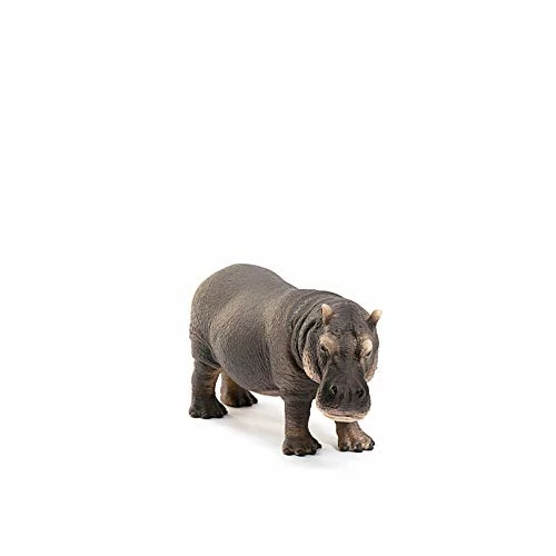 Best Pirce ๐ฏ Wild Life, Animal Figurine, Animal Toys For Boys And ๐ง Girls 3-8 Years Old, Hippopotamus, Ages 3+ ๐งจ 2 Best Pirce ๐ฏ Wild Life, Animal Figurine, Animal Toys For Boys And ๐ง Girls 3-8 Years Old, Hippopotamus, Ages 3+ ๐งจ - Image 2