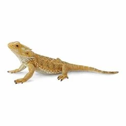Wholesale 👍 CollectA Bearded Dragon Lizard Toy Figure - Authentic Hand Painted Model , Tan 🎁