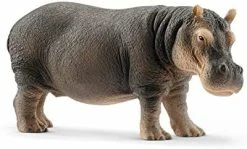 Best Pirce ๐ฏ Wild Life, Animal Figurine, Animal Toys For Boys And ๐ง Girls 3-8 Years Old, Hippopotamus, Ages 3+ ๐งจ 9 Best Pirce ๐ฏ Wild Life, Animal Figurine, Animal Toys For Boys And ๐ง Girls 3-8 Years Old, Hippopotamus, Ages 3+ ๐งจ -Stuffed Animals & Plush Toys Sales Store 41pnyY88cGL. AC