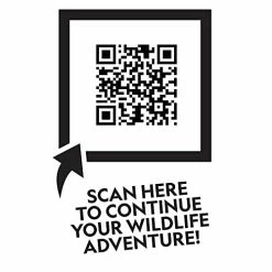 Outlet ✔️ Just Play National Geographic Kids Tub Of Realistic Dinosaur Toy Figures, QR Code To T Rex, Triceratops, Velociraptor Facts, Packaging From Recycled Material, Storage Container, Amazon Exclusive ✔️ 13 Outlet ✔️ Just Play National Geographic Kids Tub Of Realistic Dinosaur Toy Figures, QR Code To T Rex, Triceratops, Velociraptor Facts, Packaging From Recycled Material, Storage Container, Amazon Exclusive ✔️ -Stuffed Animals & Plush Toys Sales Store 41qrHuth15S