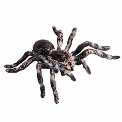Budget 🎁 LORMOON Realistic Animal Figures - Spider Action Model Lifelike Insect Toy Figures - Educational Learning Toys 🥳 Birthday Set For Boys 👧 Girls Kids Toddlers (Giant Whiteknee) 🤩