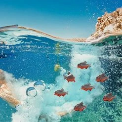 Promo ๐ Hiawbon Piranha Figurines Small Piranha Figures Fake Piranha Model Realistic Hand Painted Animal Figurine Ornament For Micro Landscape Party Favors Gift ,Set Of 4 โญ 11 Promo ๐ Hiawbon Piranha Figurines Small Piranha Figures Fake Piranha Model Realistic Hand Painted Animal Figurine Ornament For Micro Landscape Party Favors Gift ,Set Of 4 โญ -Stuffed Animals & Plush Toys Sales Store 510m59Cre4L