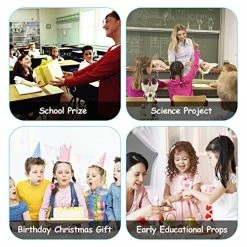 Budget 🎁 LORMOON Realistic Animal Figures - Spider Action Model Lifelike Insect Toy Figures - Educational Learning Toys 🥳 Birthday Set For Boys 👧 Girls Kids Toddlers (Giant Whiteknee) 🤩 -Stuffed Animals & Plush Toys Sales Store 519uhZO2eIL