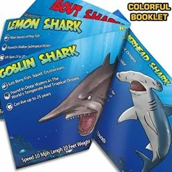 Top 10 👍 Yeonha Toys 8 Pack Shark Toys With Educational Booklet, Soft Plastic Realistic Shark Figure Set For Kid, Ocean Sea Animal Party Favor, Pool Bath Tub Toy For Toddler Child Boy Girl, 🎂 Birthday Gift 🛒 8 Top 10 👍 Yeonha Toys 8 Pack Shark Toys With Educational Booklet, Soft Plastic Realistic Shark Figure Set For Kid, Ocean Sea Animal Party Favor, Pool Bath Tub Toy For Toddler Child Boy Girl, 🎂 Birthday Gift 🛒 -Stuffed Animals & Plush Toys Sales Store 51AAGC5Q27L
