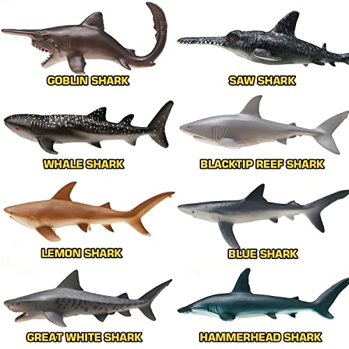 Top 10 👍 Yeonha Toys 8 Pack Shark Toys With Educational Booklet, Soft Plastic Realistic Shark Figure Set For Kid, Ocean Sea Animal Party Favor, Pool Bath Tub Toy For Toddler Child Boy Girl, 🎂 Birthday Gift 🛒 3 Top 10 👍 Yeonha Toys 8 Pack Shark Toys With Educational Booklet, Soft Plastic Realistic Shark Figure Set For Kid, Ocean Sea Animal Party Favor, Pool Bath Tub Toy For Toddler Child Boy Girl, 🎂 Birthday Gift 🛒 - Image 3