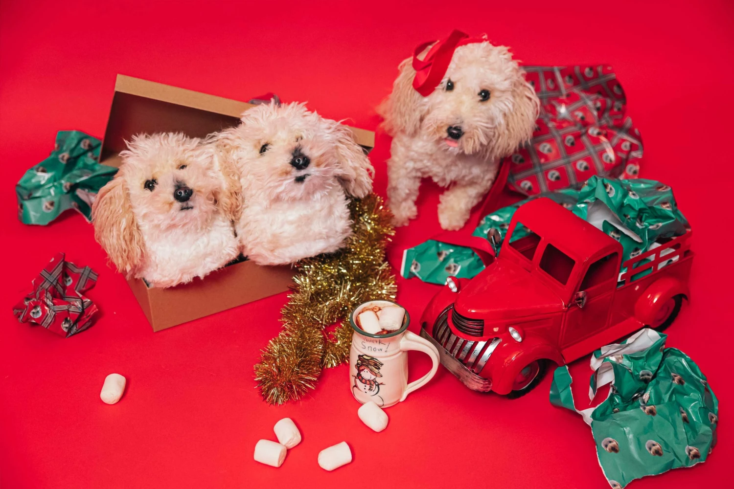 Stuffed Animals & Plush Toys Sales Store 2 Stuffed Animals & Plush Toys Sales Store -Stuffed Animals & Plush Toys Sales Store 65475465 scaled